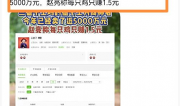 国产精品小视频在线看,在线观看新体验