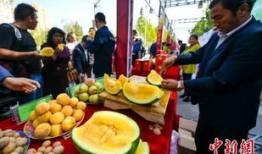 吃瓜最新事件爆料安徽,吃瓜群众揭秘最新事件内幕